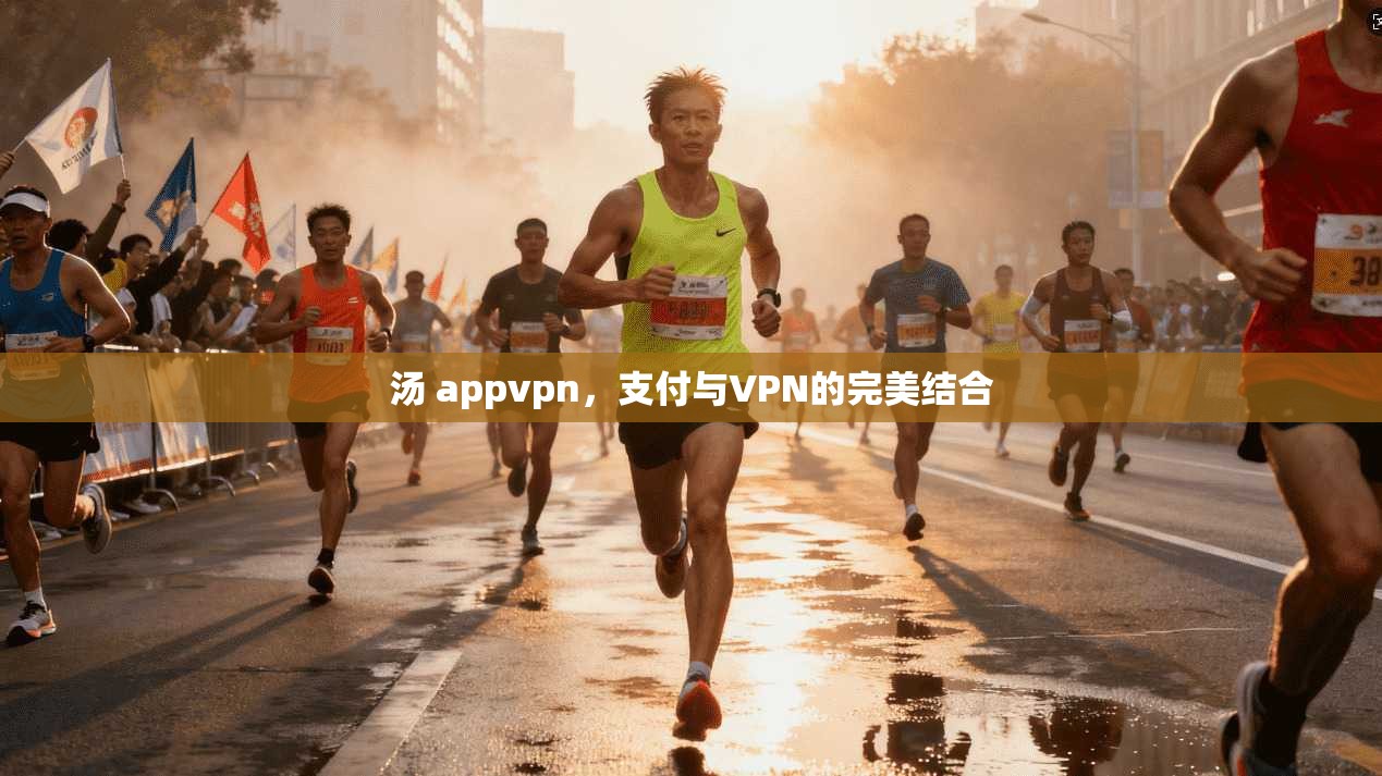 汤 appvpn，支付与VPN的完美结合