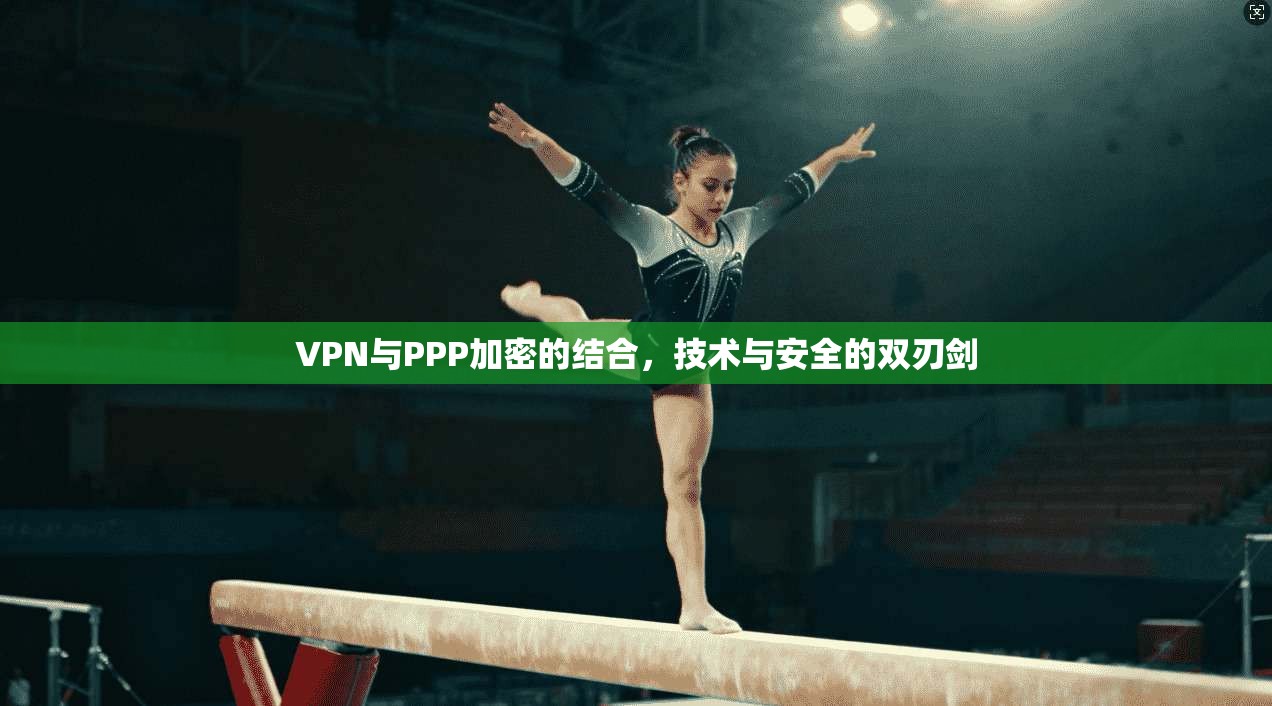 VPN与PPP加密的结合，技术与安全的双刃剑