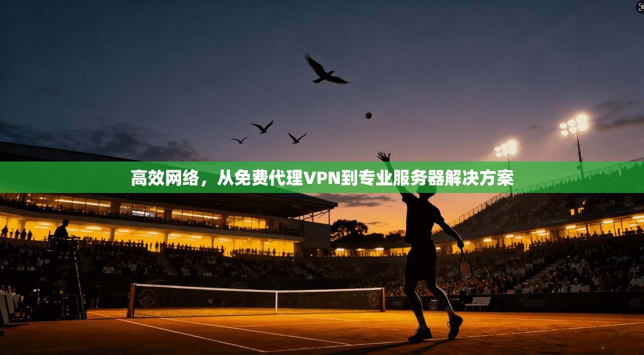 高效网络，从免费代理VPN到专业服务器解决方案