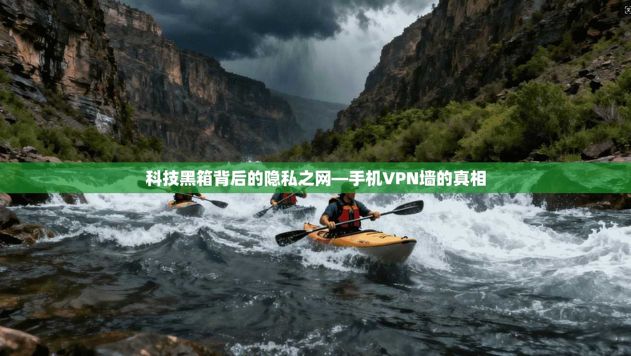 科技黑箱背后的隐私之网—手机VPN墙的真相
