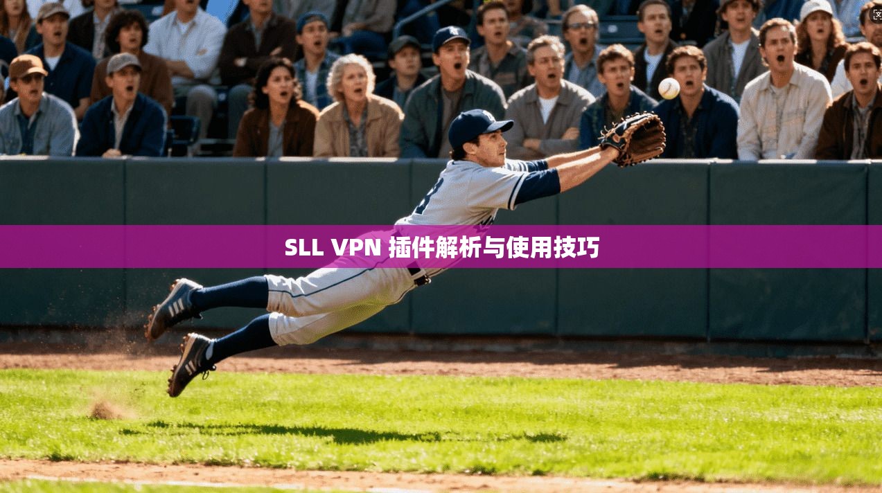 SLL VPN 插件解析与使用技巧