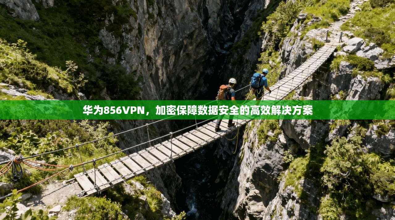 华为856VPN，加密保障数据安全的高效解决方案
