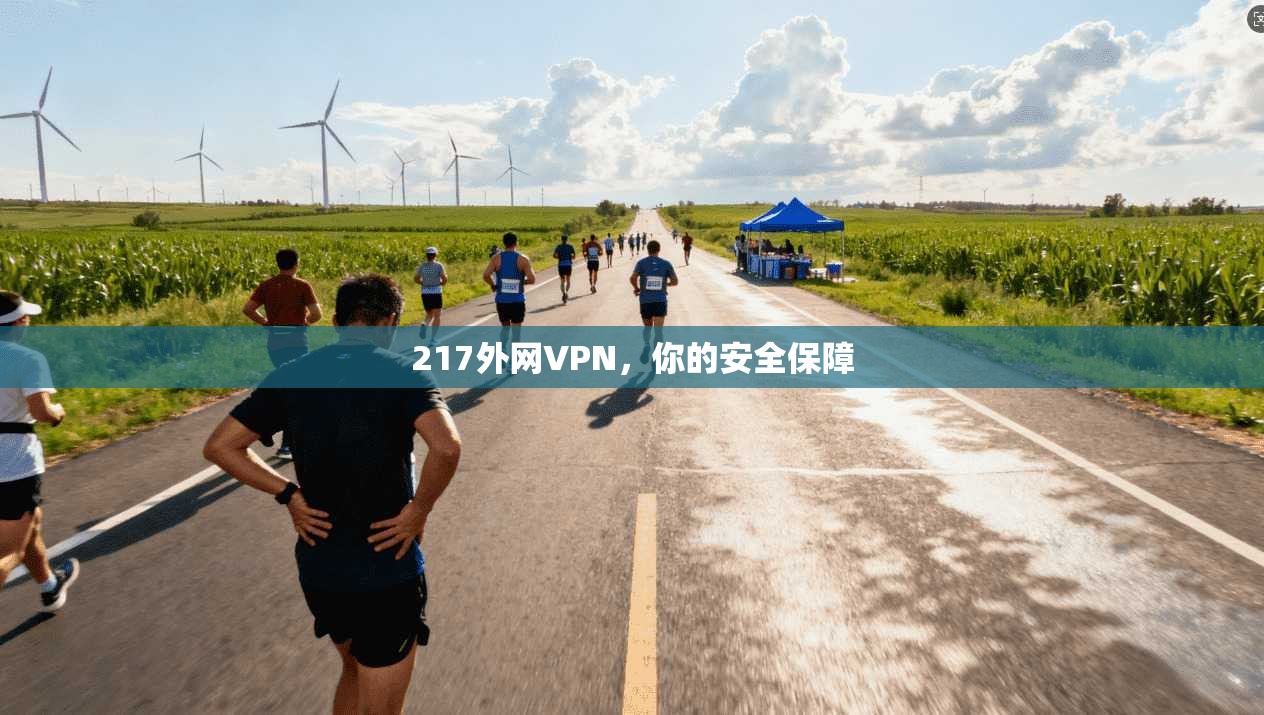 217外网VPN，你的安全保障