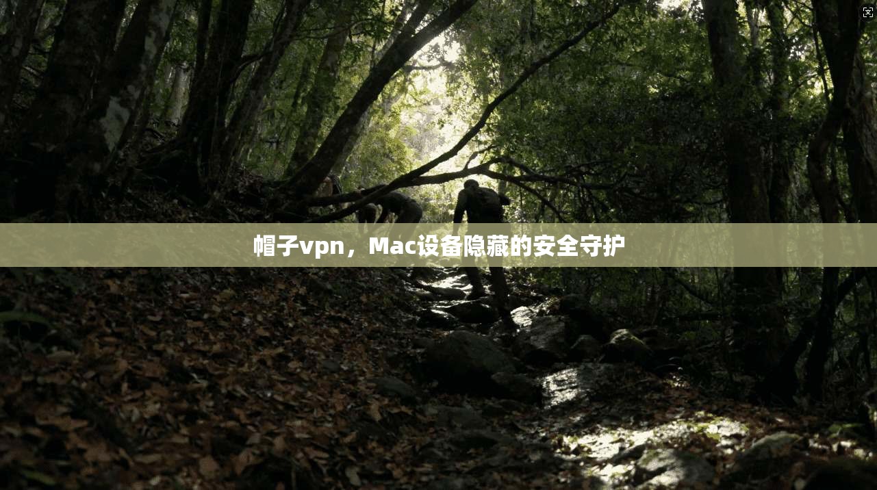 帽子vpn，Mac设备隐藏的安全守护