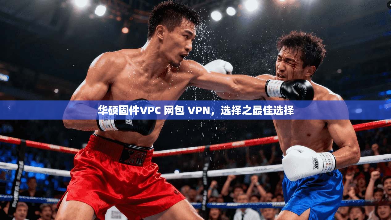 华硕固件VPC 网包 VPN，选择之最佳选择