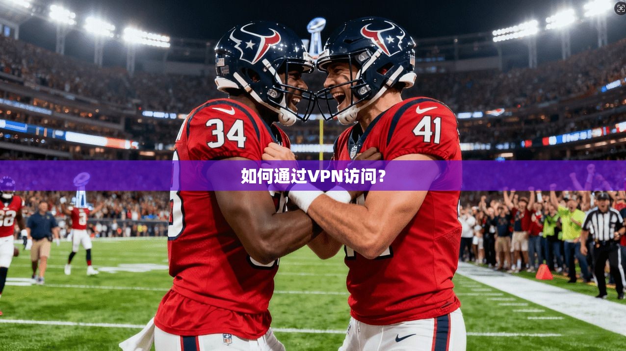 如何通过VPN访问？