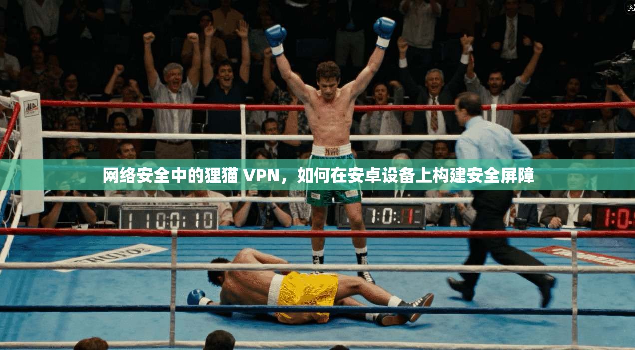 网络安全中的狸猫 VPN，如何在安卓设备上构建安全屏障