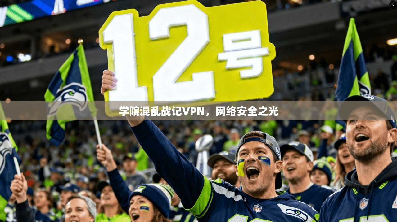 学院混乱战记VPN，网络安全之光