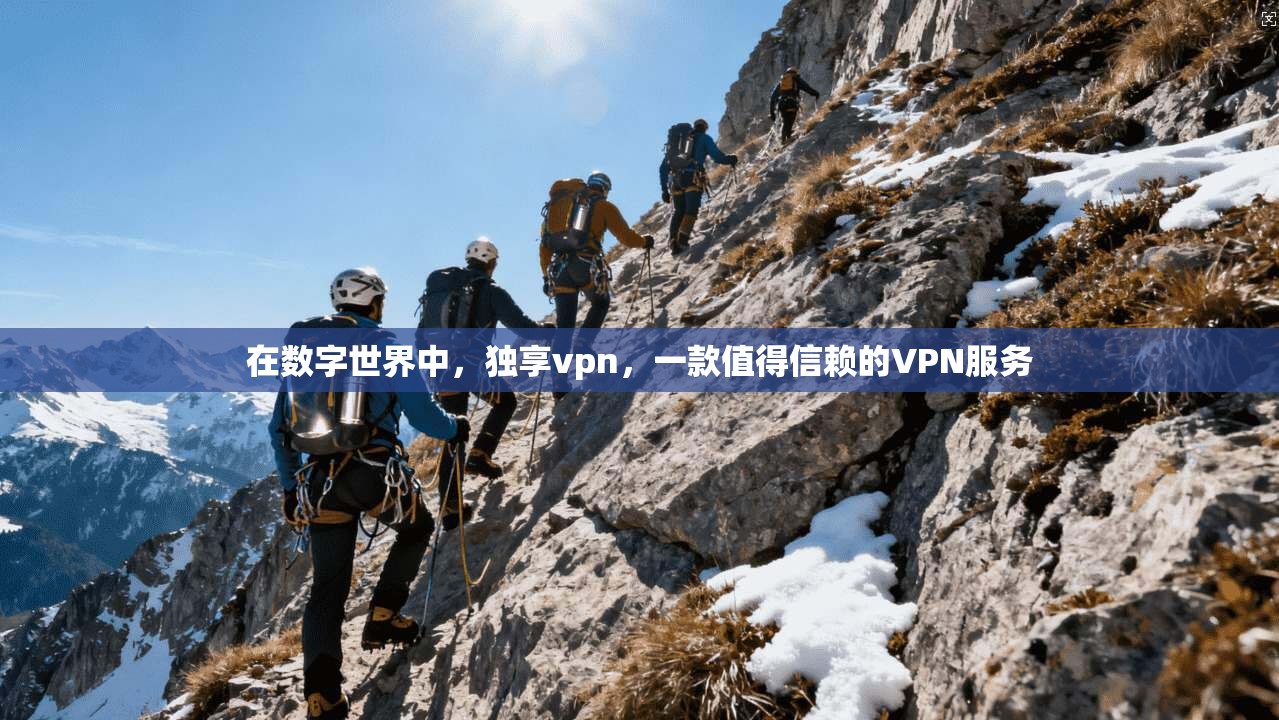 在数字世界中，独享vpn，一款值得信赖的VPN服务