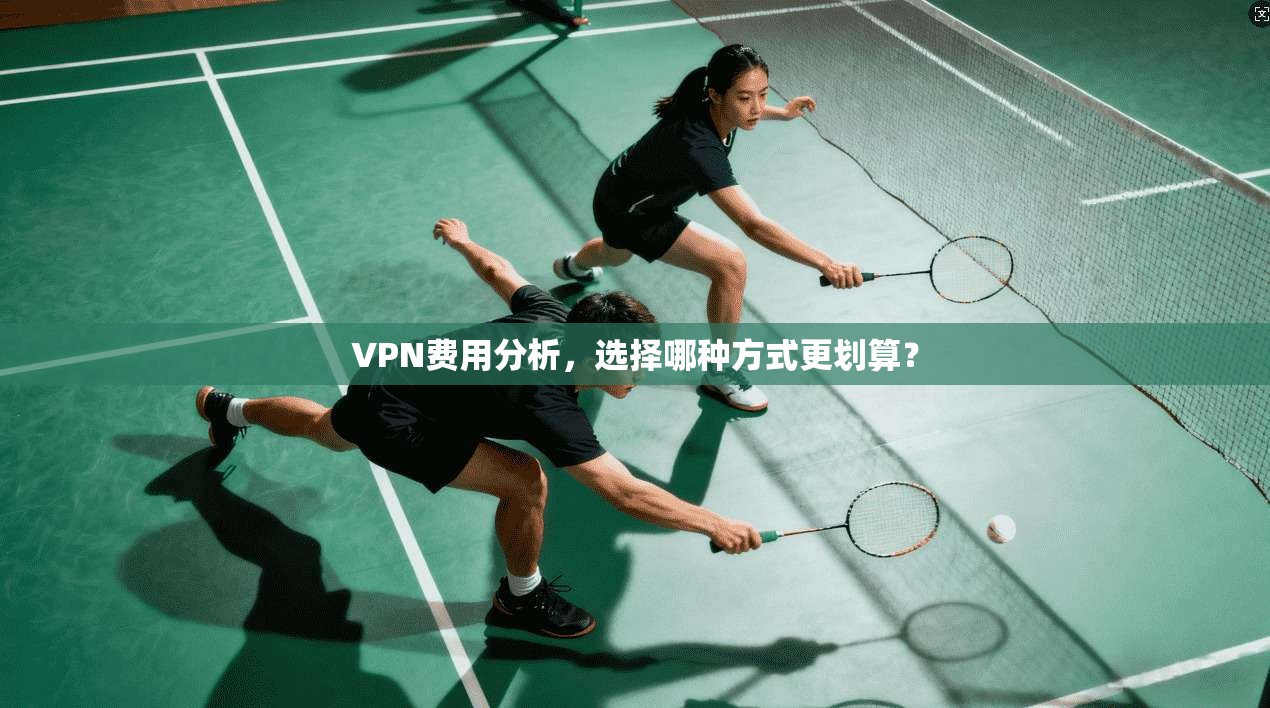 VPN费用分析，选择哪种方式更划算？  第1张