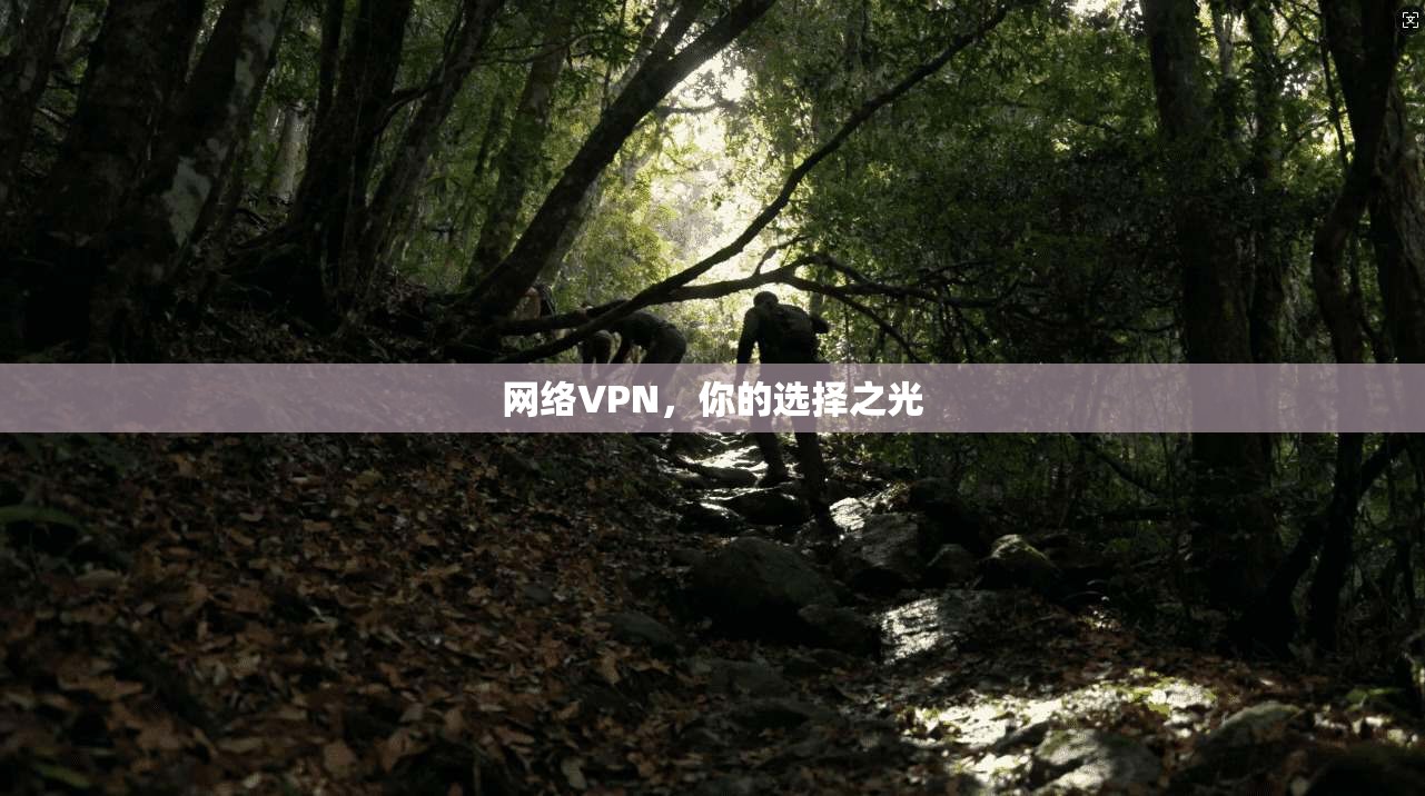 网络VPN，你的选择之光