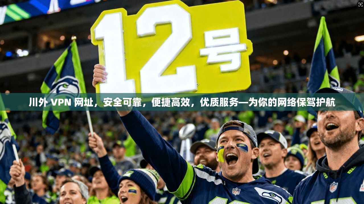 川外 VPN 网址，安全可靠，便捷高效，优质服务—为你的网络保驾护航