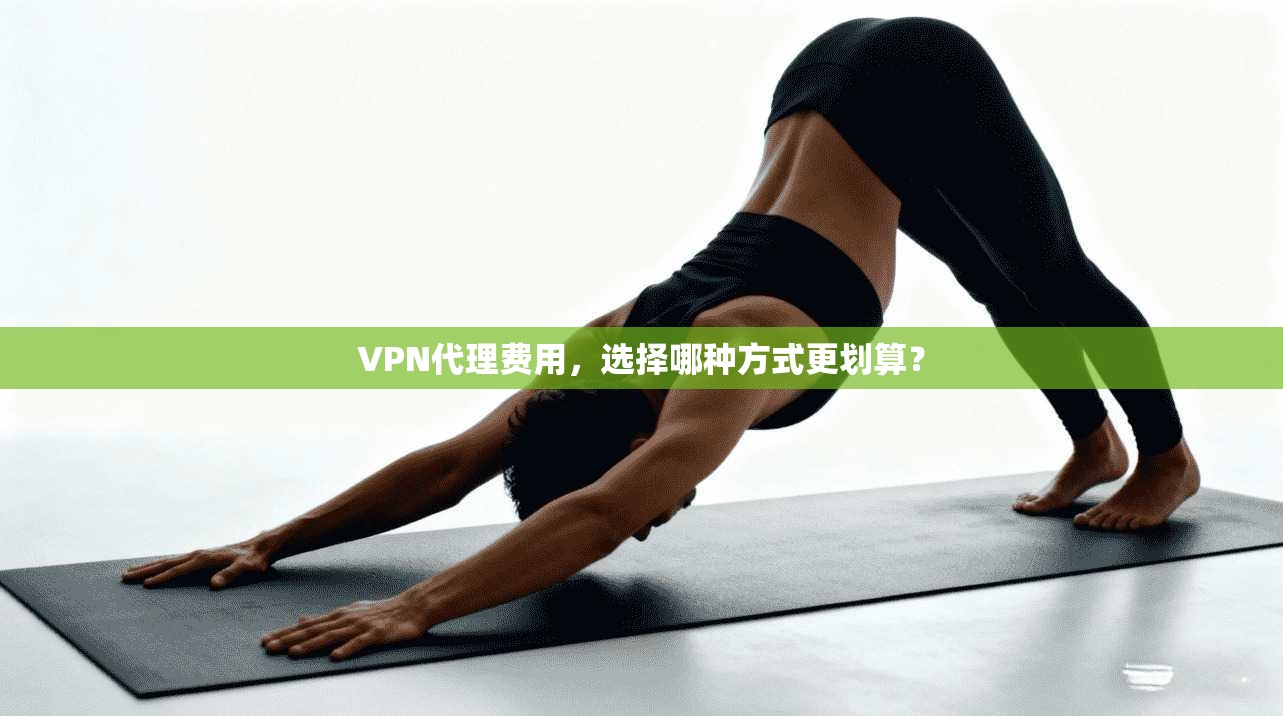 VPN代理费用，选择哪种方式更划算？