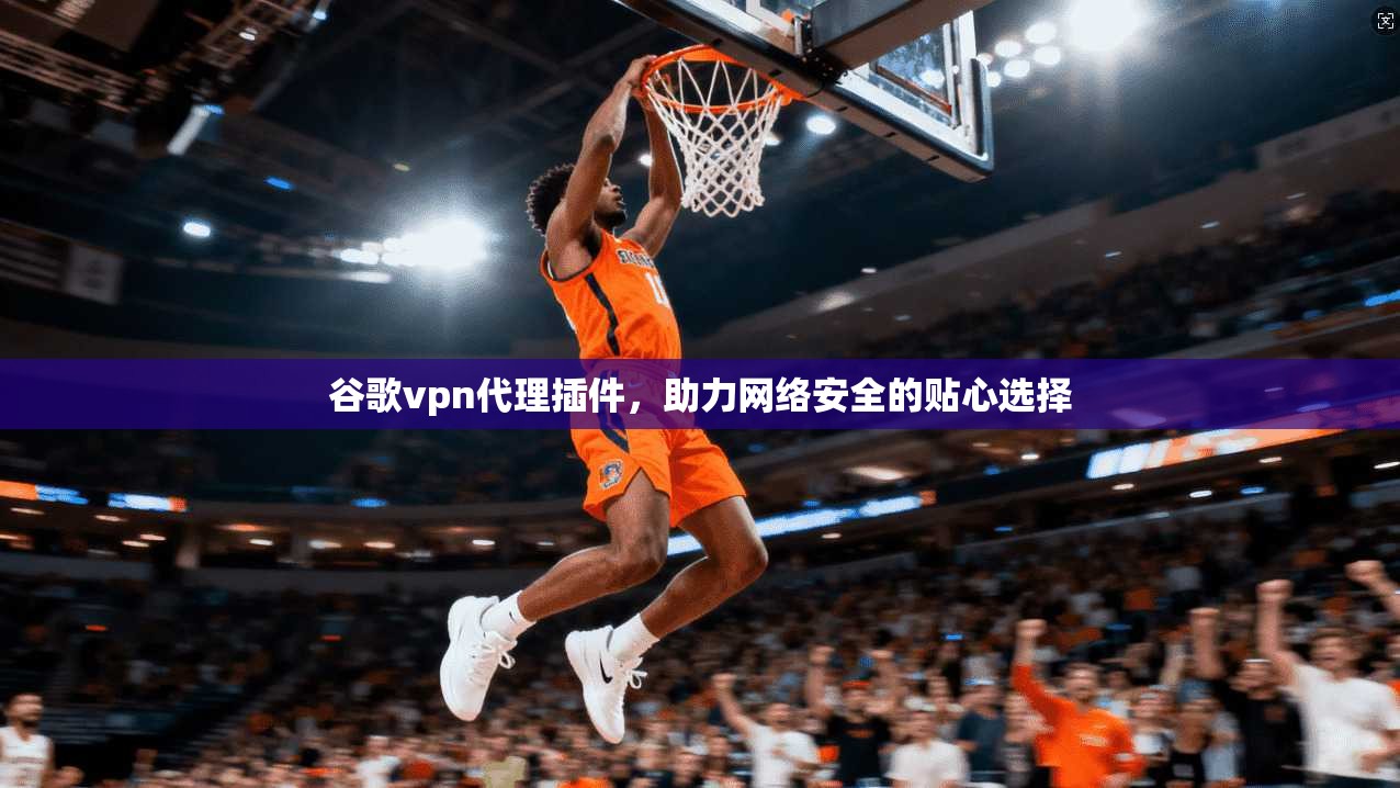 谷歌vpn代理插件，助力网络安全的贴心选择