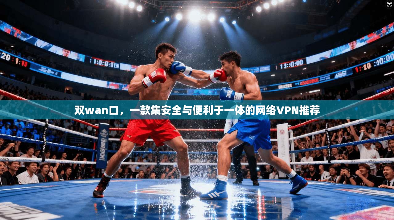 双wan口，一款集安全与便利于一体的网络VPN推荐