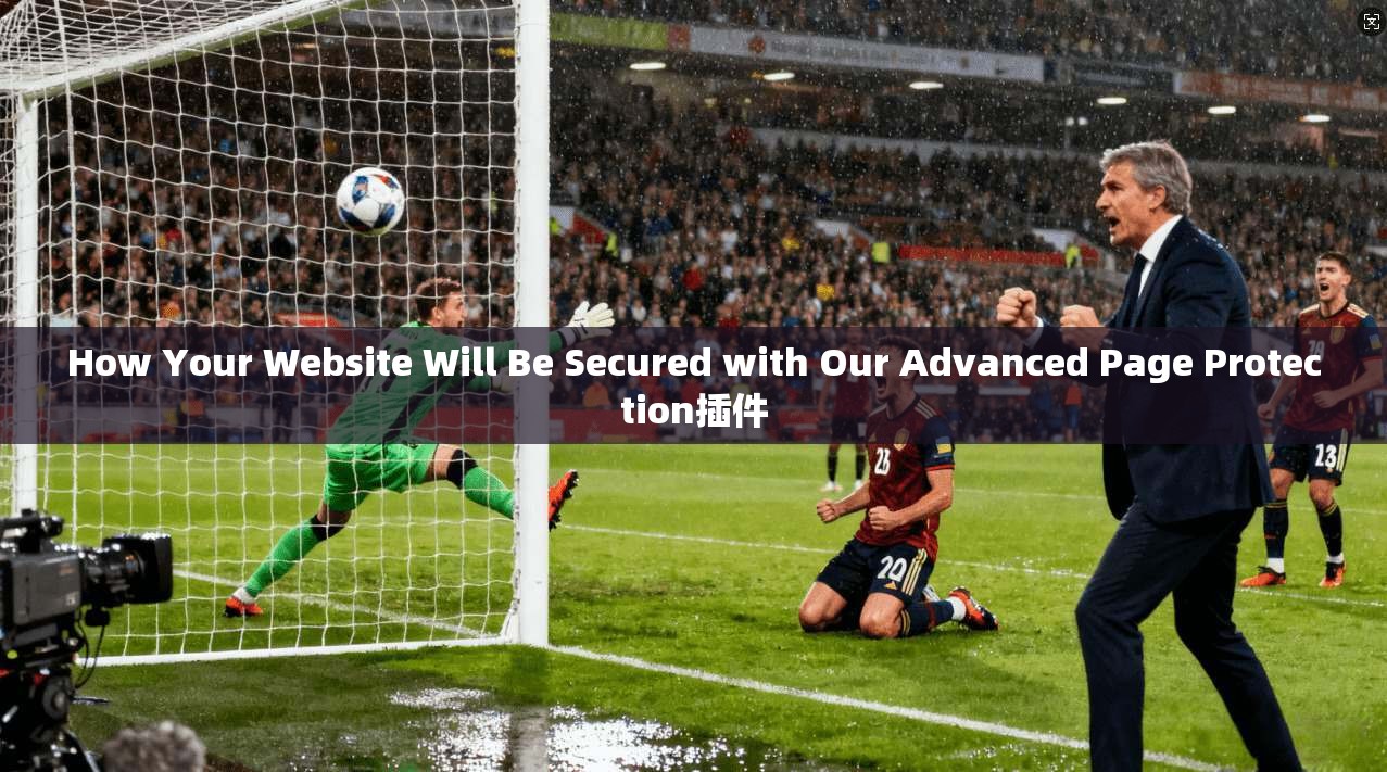 How Your Website Will Be Secured with Our Advanced Page Protection插件