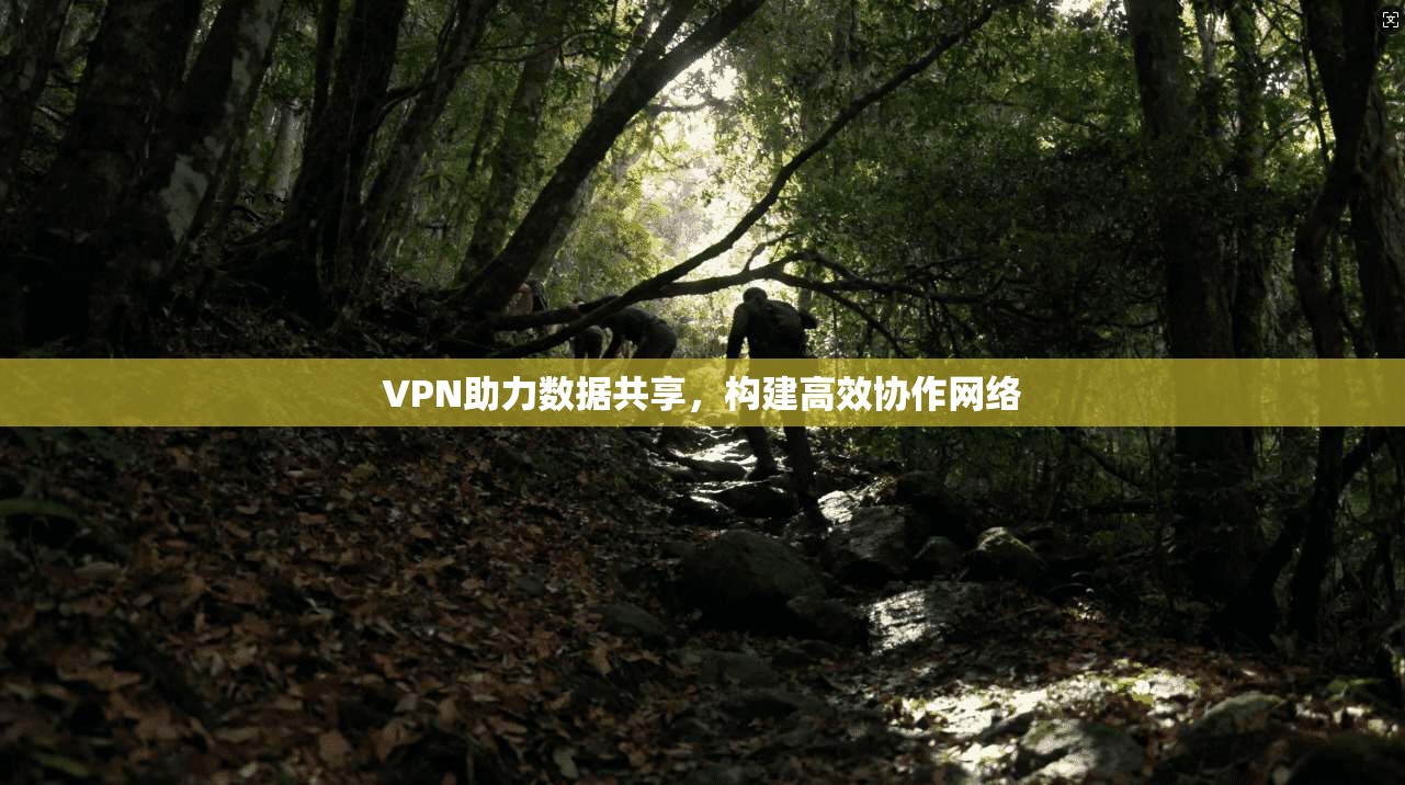 VPN助力数据共享，构建高效协作网络