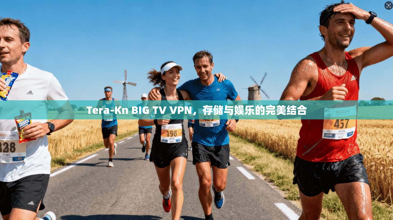 Tera-Kn BIG TV VPN，存储与娱乐的完美结合