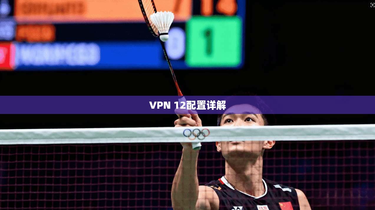 VPN 12配置详解