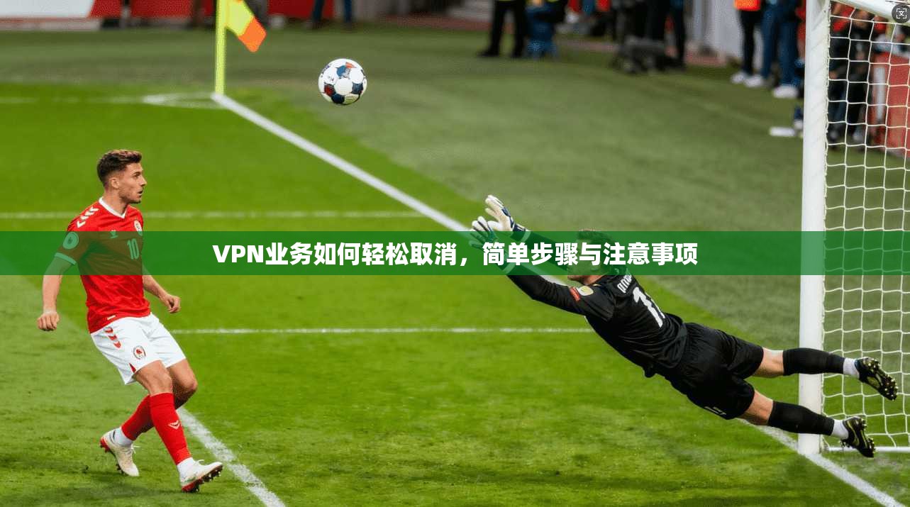 VPN业务如何轻松取消，简单步骤与注意事项