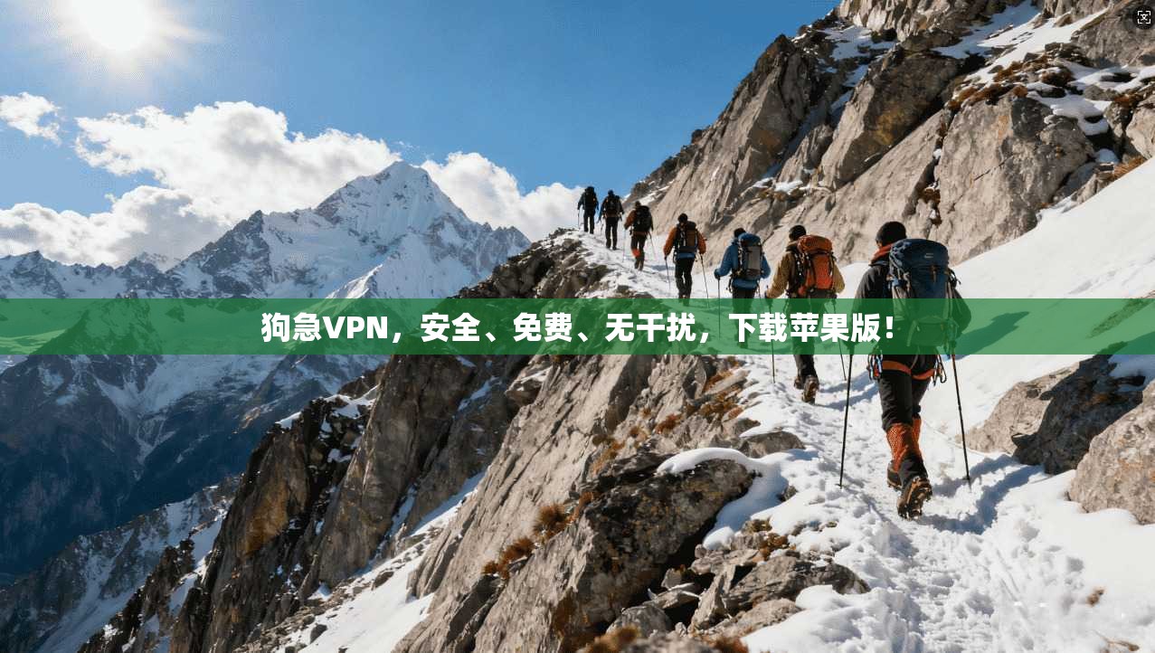 狗急VPN，安全、免费、无干扰，下载苹果版！