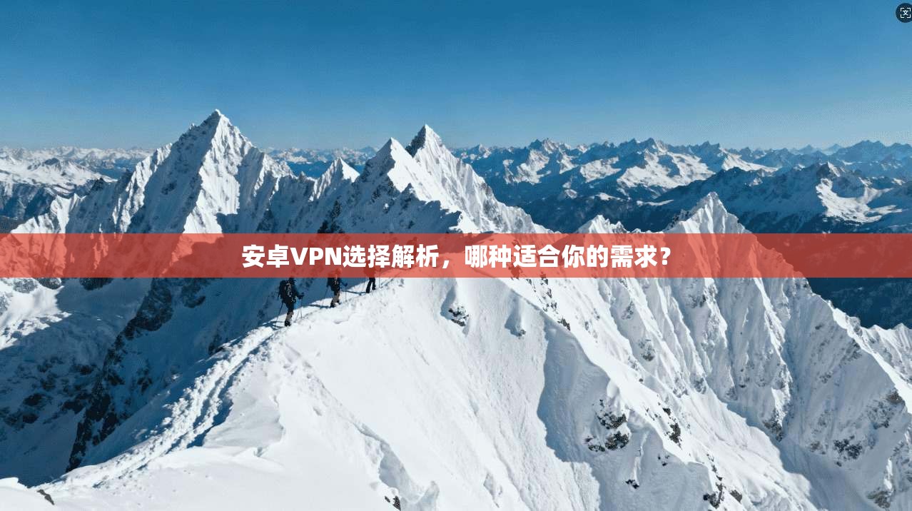 安卓VPN选择解析，哪种适合你的需求？