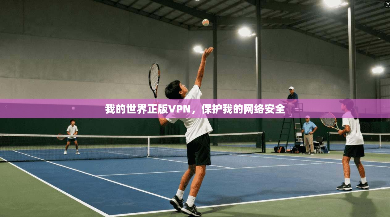 我的世界正版VPN，保护我的网络安全