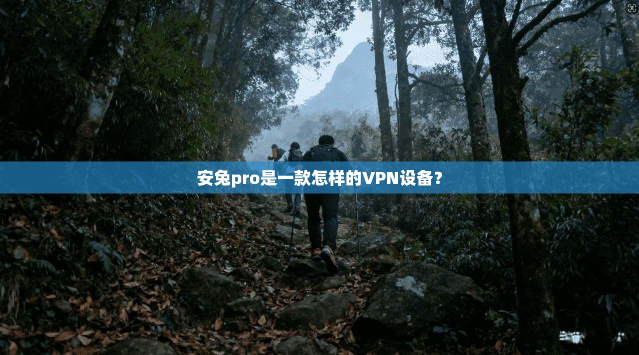 安兔pro是一款怎样的VPN设备？