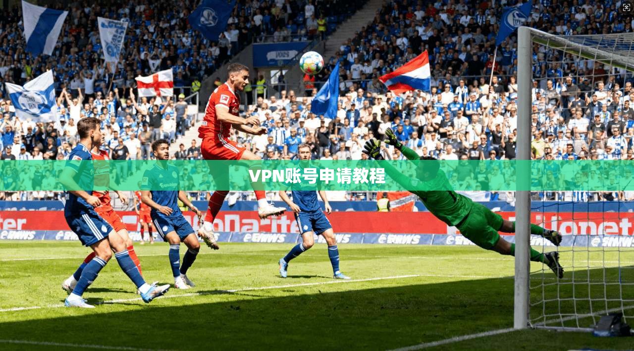 VPN账号申请教程