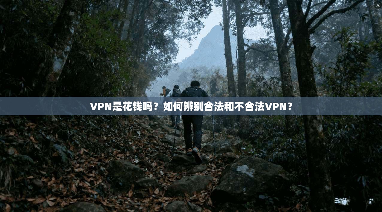 VPN是花钱吗？如何辨别合法和不合法VPN？