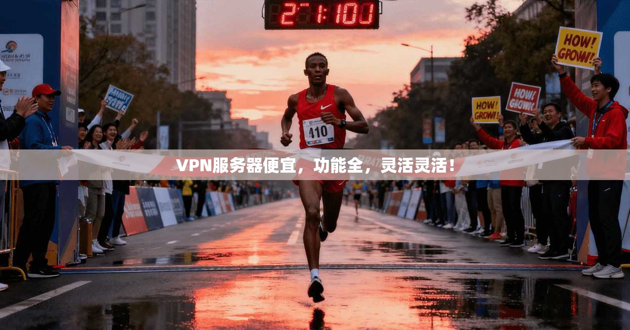 VPN服务器便宜，功能全，灵活灵活！