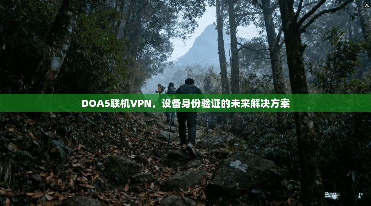 DOA5联机VPN，设备身份验证的未来解决方案