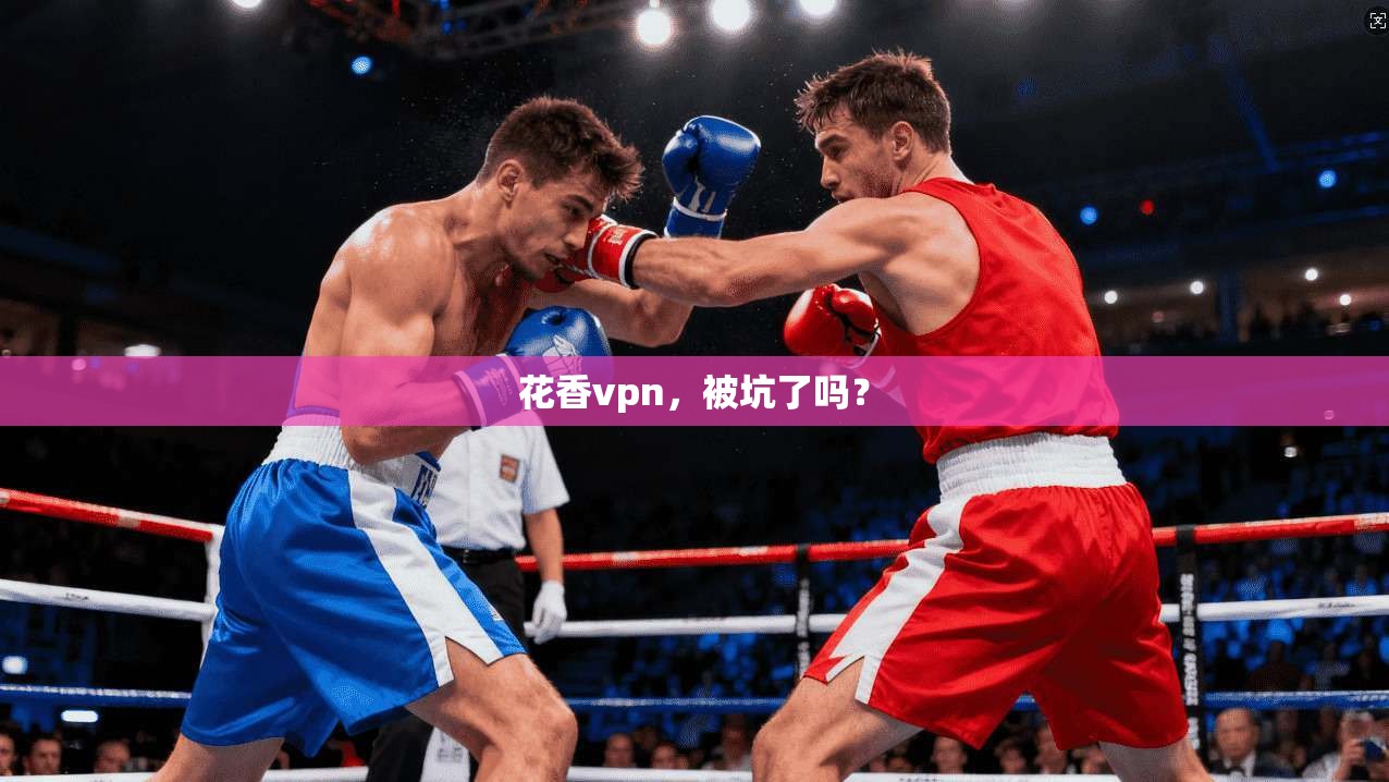 花香vpn，被坑了吗？