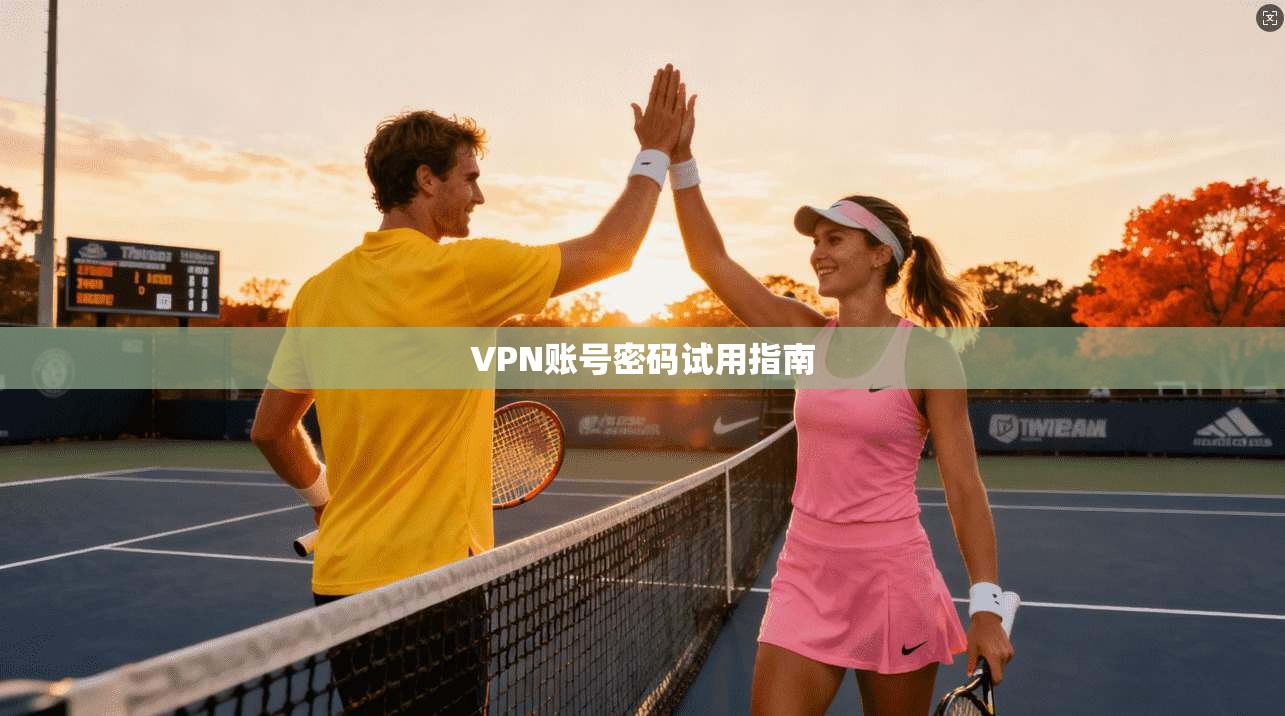 VPN账号密码试用指南