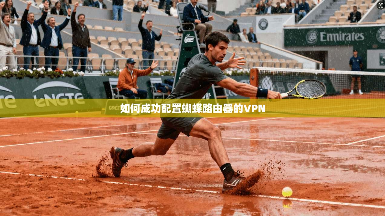 如何成功配置蝴蝶路由器的VPN