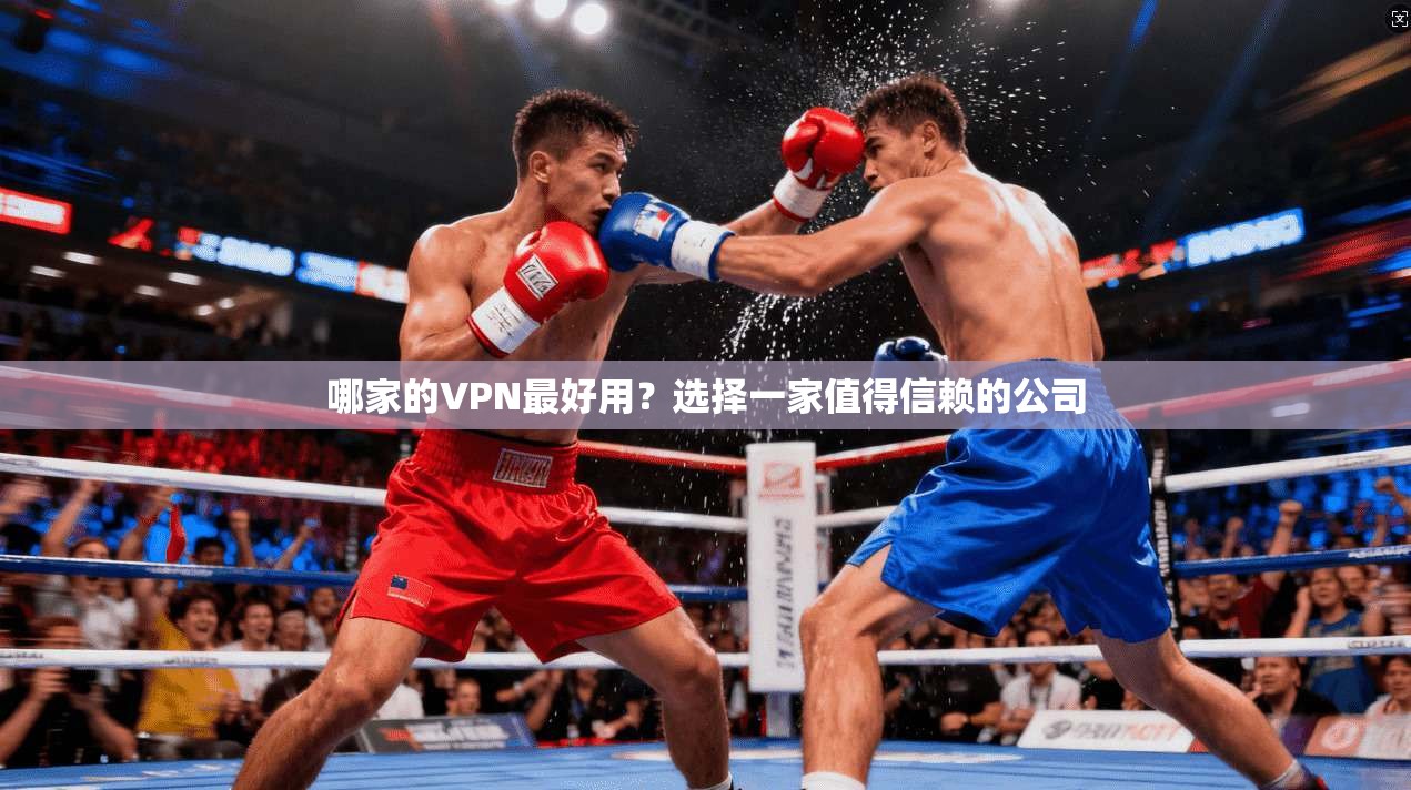 哪家的VPN最好用？选择一家值得信赖的公司