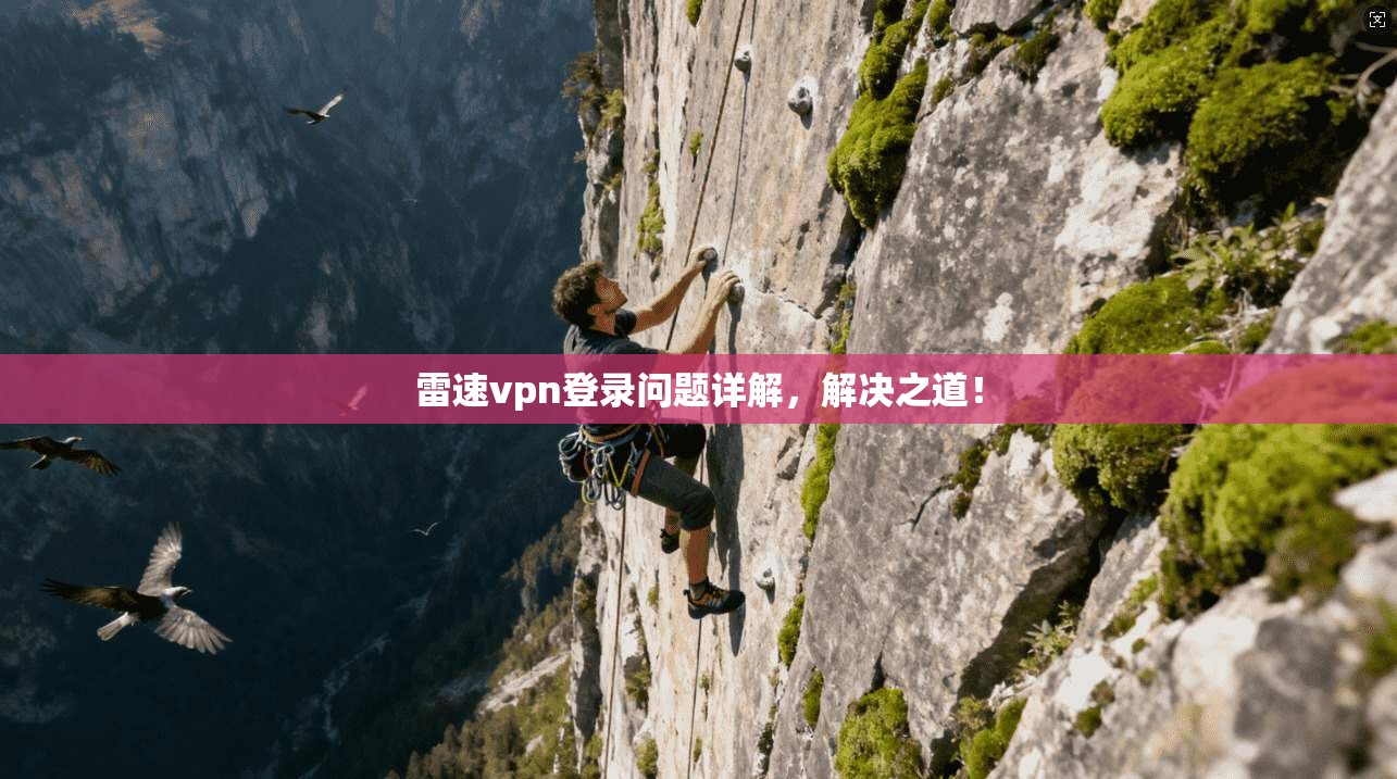 雷速vpn登录问题详解，解决之道！