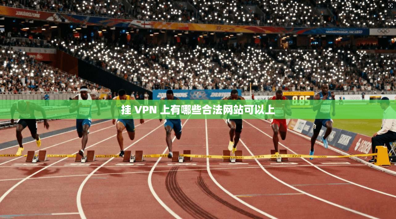 挂 VPN 上有哪些合法网站可以上