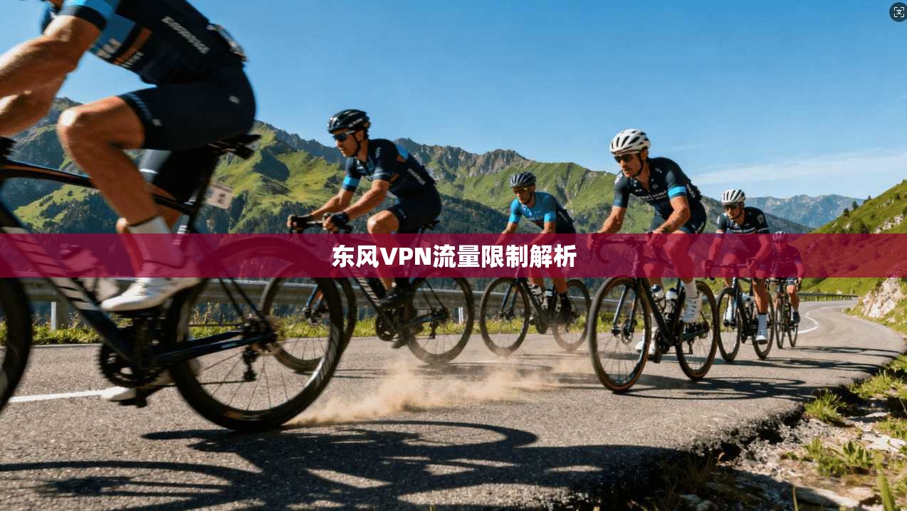 东风VPN流量限制解析