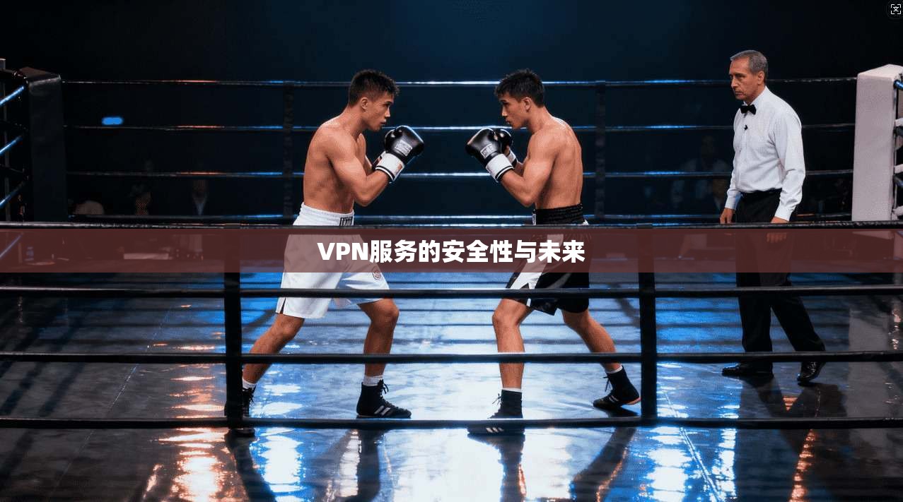 VPN服务的安全性与未来