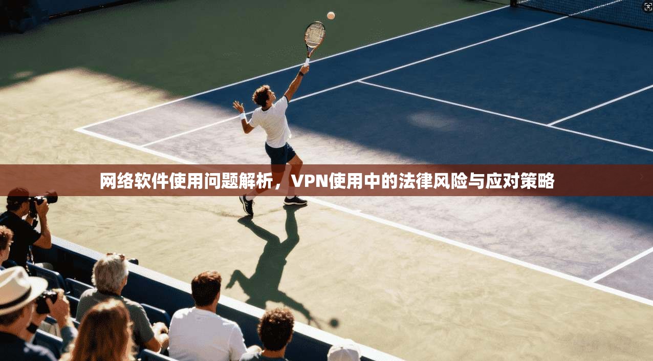 网络软件使用问题解析，VPN使用中的法律风险与应对策略