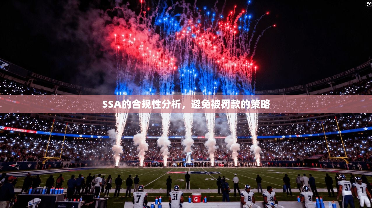SSA的合规性分析，避免被罚款的策略