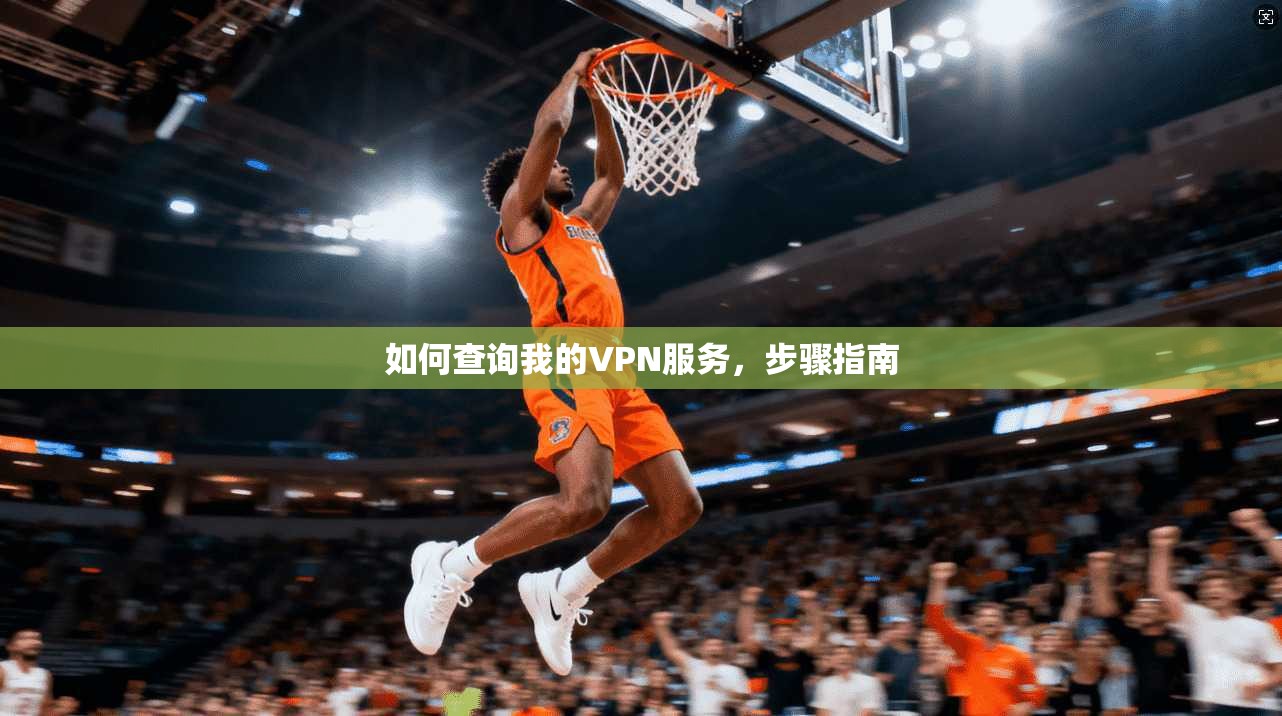 如何查询我的VPN服务，步骤指南