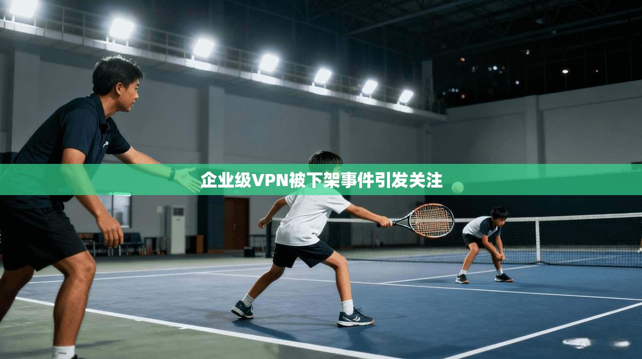 企业级VPN被下架事件引发关注