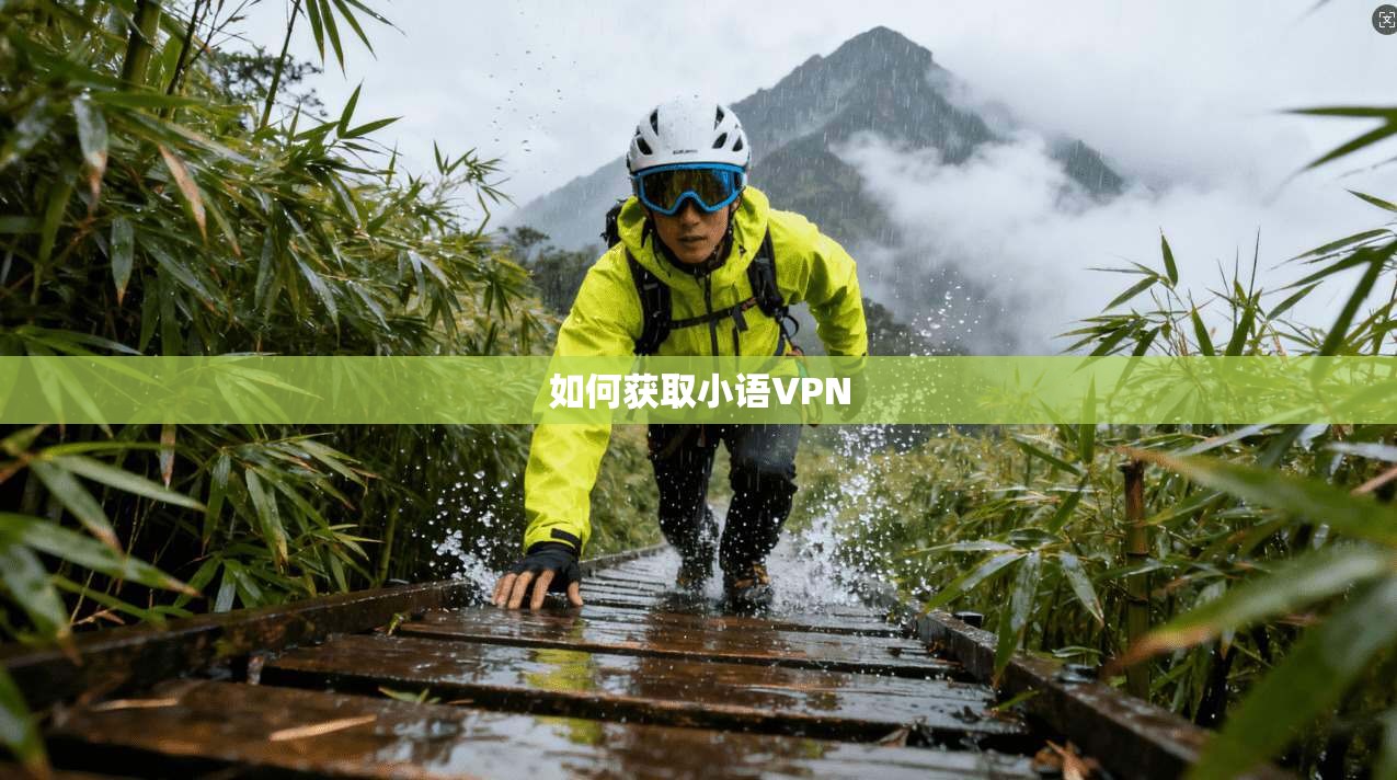 如何获取小语VPN