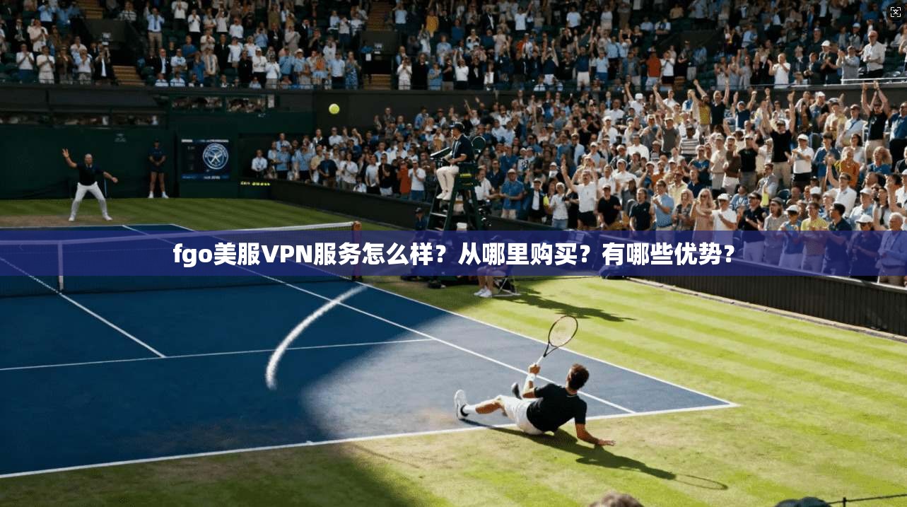fgo美服VPN服务怎么样？从哪里购买？有哪些优势？