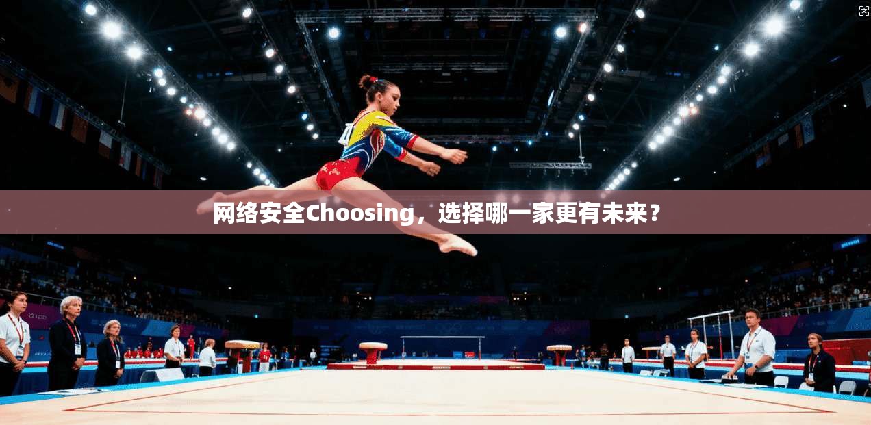网络安全Choosing，选择哪一家更有未来？
