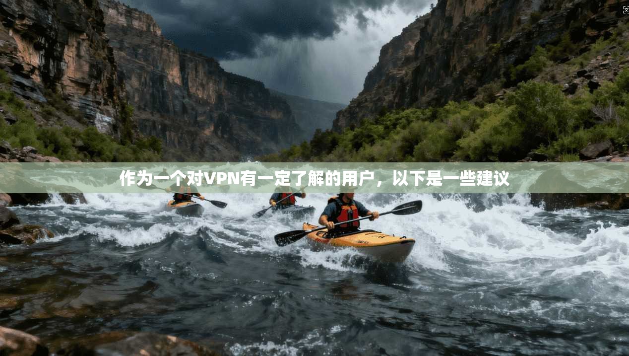 作为一个对VPN有一定了解的用户，以下是一些建议