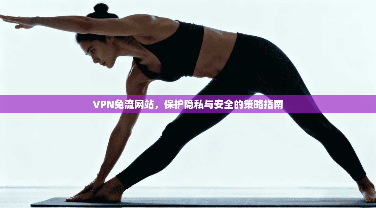 VPN免流网站，保护隐私与安全的策略指南