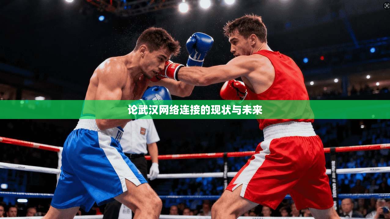 论武汉网络连接的现状与未来